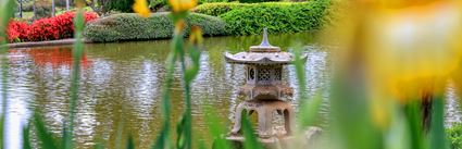 Japanese Garden - Cowra 